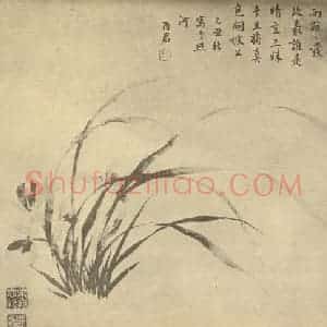 清代 蒋廷锡国画作品《兰》摘自 南画大成 卷一