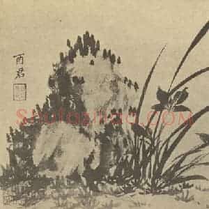 清代 蒋廷锡国画作品《兰石》摘自 南画大成 卷一