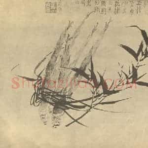 清代 金农国画作品《竹》摘自 南画大成 卷一