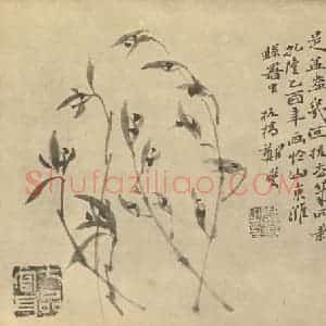 清代 郑燮国画作品《兰》摘自 南画大成 卷一