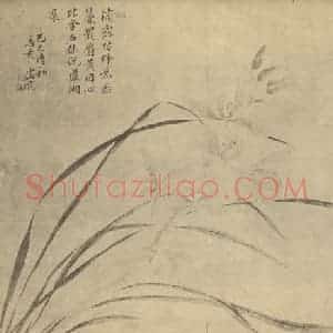 清代 邹一桂国画作品《兰》摘自 南画大成 卷一
