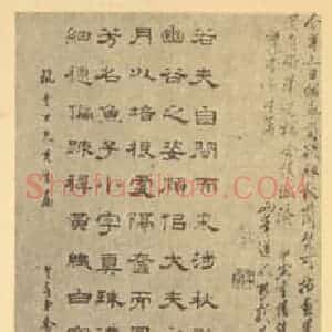 清代 罗聘国画作品《兰石》摘自 南画大成 卷一