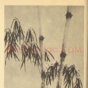 明代 朱鹭国画作品《竹》摘自 南画大成 卷一