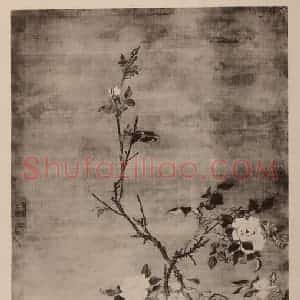 清代 郎世宁国画作品《富贵长春图轴》摘自 南画大成 卷十四