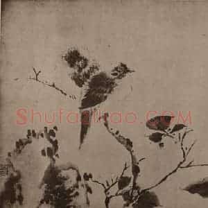 清代 华岩国画作品《白头海棠图页》摘自 南画大成 卷十四