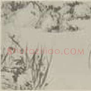 清代 胡士昆国画作品《墨兰图卷(一)》摘自 南画大成 卷十五