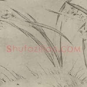 宋代 赵孟坚国画作品《水仙图卷(一)》摘自 南画大成 卷十六