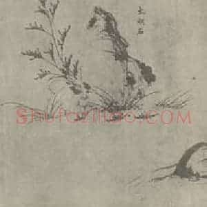 宋代 赵孟坚国画作品《兰谱卷(三)》摘自 南画大成 卷十六