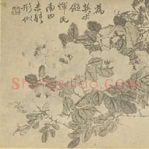清代 赵之谦国画作品《月季》摘自 南画大成 续集三