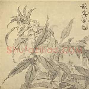 清代 赵之谦国画作品《凤仙花》摘自 南画大成 续集三