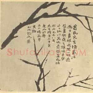 清代 赵之谦国画作品《画梅法(一)》摘自 南画大成 续集三