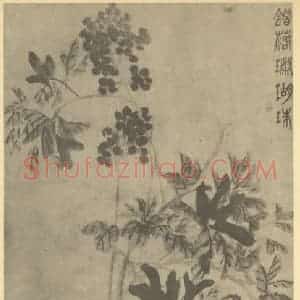 清代 吴昌硕国画作品《南天竹》摘自 南画大成 续集三