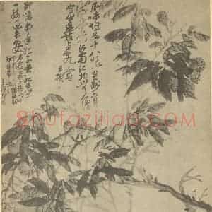 清代 吴昌硕国画作品《荔枝》摘自 南画大成 续集三