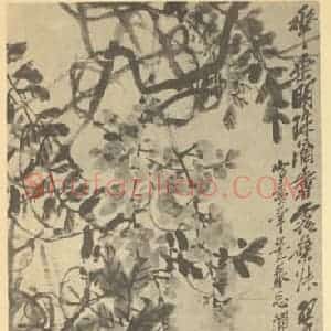 清代 吴昌硕国画作品《珠藤》摘自 南画大成 续集三
