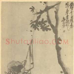 清代 吴昌硕国画作品《石榴》摘自 南画大成 续集三