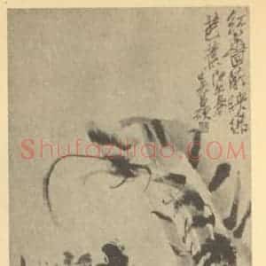 清代 吴昌硕国画作品《蔷薇·芭蕉》摘自 南画大成 续集三
