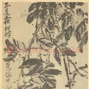 清代 吴昌硕国画作品《丹凤髓》摘自 南画大成 续集三