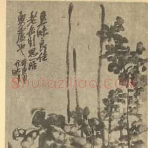 清代 吴昌硕国画作品《豆花图》摘自 南画大成 续集三