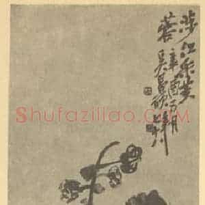 清代 吴昌硕国画作品《芙蓉》摘自 南画大成 续集三