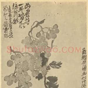 清代 吴昌硕国画作品《葡萄·菊花》摘自 南画大成 续集三