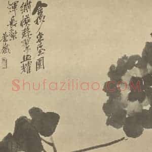 清代 吴昌硕国画作品《牡丹》摘自 南画大成 续集三