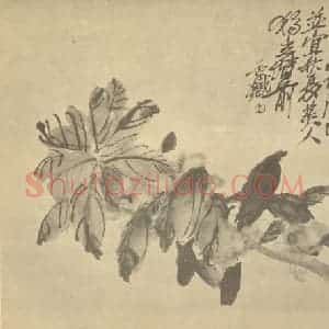 清代 吴昌硕国画作品《凤仙花》摘自 南画大成 续集三