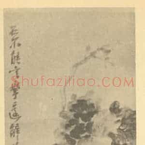 清代 吴昌硕国画作品《牡丹图》摘自 南画大成 续集三