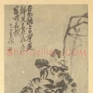 清代 吴昌硕国画作品《牡丹图》摘自 南画大成 续集三