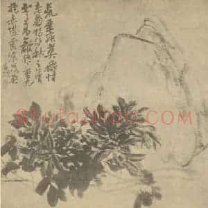 清代 吴昌硕国画作品《菊花图》摘自 南画大成 续集三
