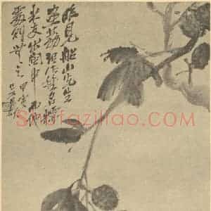 清代 吴昌硕国画作品《枇杷》摘自 南画大成 续集三