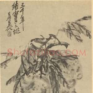清代 吴昌硕国画作品《芙蓉》摘自 南画大成 续集三