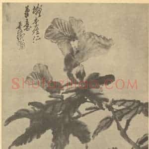清代 吴昌硕国画作品《兰花》摘自 南画大成 续集三