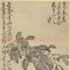 清代 吴昌硕国画作品《菊花》摘自 南画大成 续集三