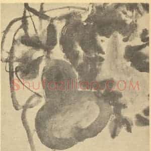 清代 吴昌硕国画作品《雁来红》摘自 南画大成 续集三