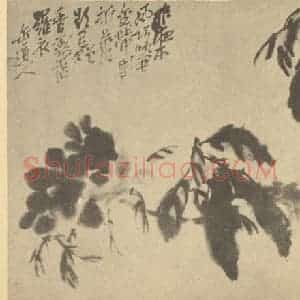清代 吴昌硕国画作品《芍药》摘自 南画大成 续集三