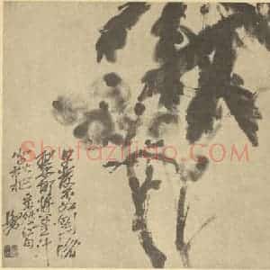 清代 吴昌硕国画作品《枇杷》摘自 南画大成 续集三