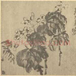 清代 吴昌硕国画作品《秋海棠》摘自 南画大成 续集三