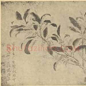 清代 恽寿平国画作品《桂花》摘自 南画大成 续集三