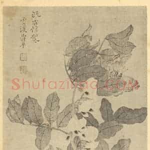 清代 恽寿平国画作品《桃花》摘自 南画大成 续集三