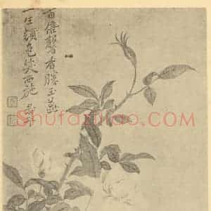 清代 恽寿平国画作品《芍药》摘自 南画大成 续集三