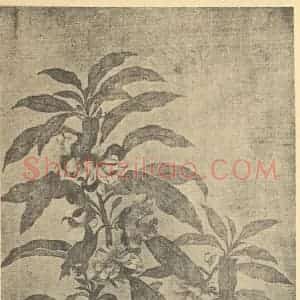 清代 恽寿平国画作品《玉簪花·野菊》摘自 南画大成 续集三