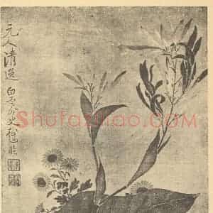 清代 恽寿平国画作品《凤仙花》摘自 南画大成 续集三