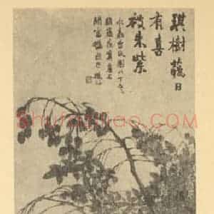 清代 赵之谦国画作品《藤花·桢桐》摘自 南画大成 续集三