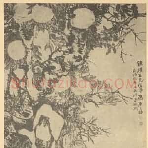 清代 赵之谦国画作品《牡丹·仙桃图》摘自 南画大成 续集三