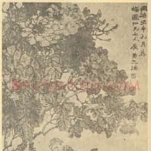 清代 赵之谦国画作品《牡丹图》摘自 南画大成 续集三
