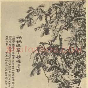 清代 赵之谦国画作品《枇杷·桂树图》摘自 南画大成 续集三