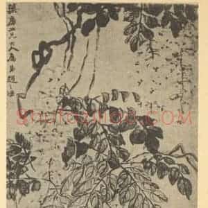 清代 赵之谦国画作品《藤花图》摘自 南画大成 续集三