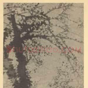 清代 赵之谦国画作品《梅花》摘自 南画大成 续集三