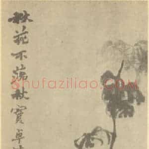 清代 赵之谦国画作品《秋花秋实图》摘自 南画大成 续集三