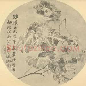 清代 赵之谦国画作品《月季·虞美人》摘自 南画大成 续集三